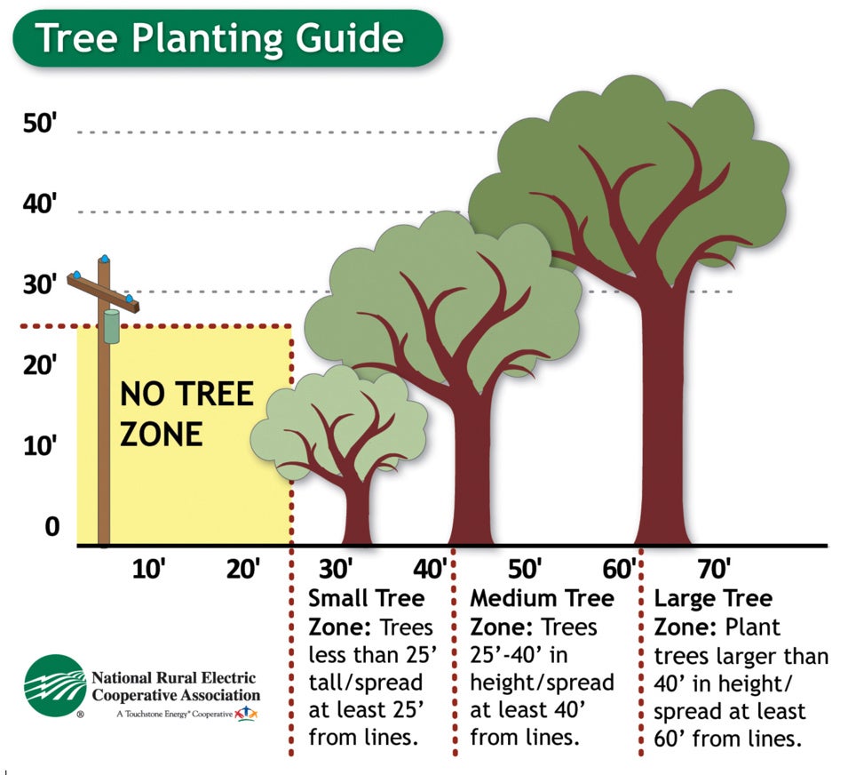 Tree Planting Guide