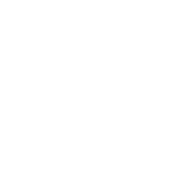 icons8-phone_filled