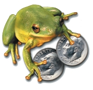 greenpower frog 